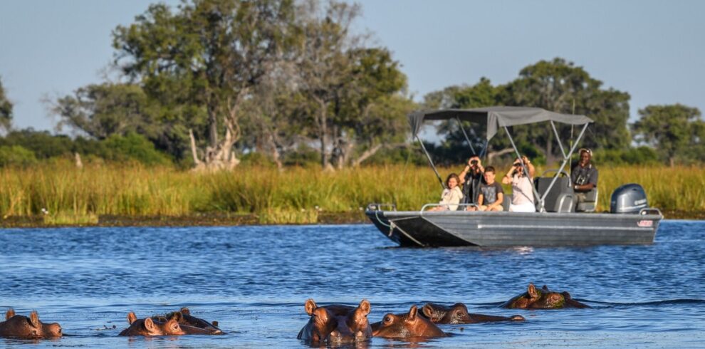 Boat Safaris