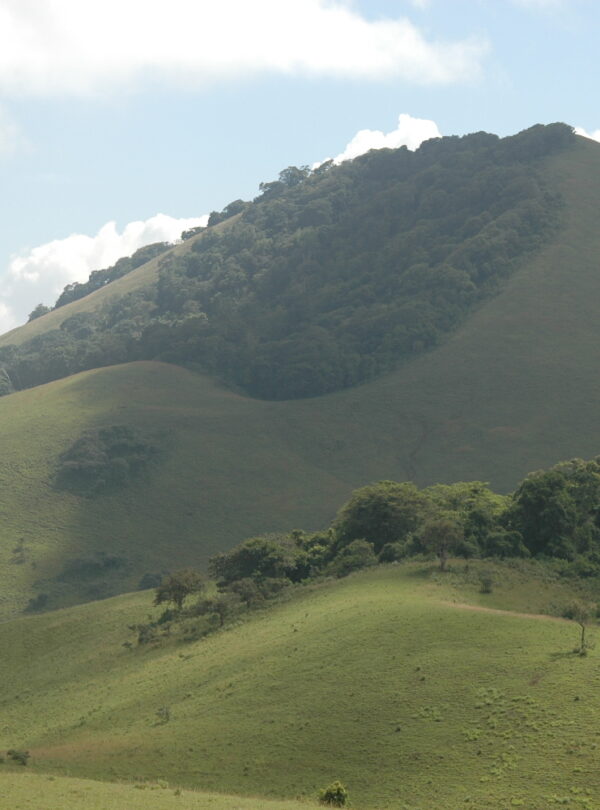 Chyulu Hills National Park