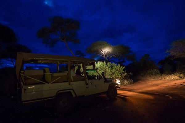 Night Game Drives