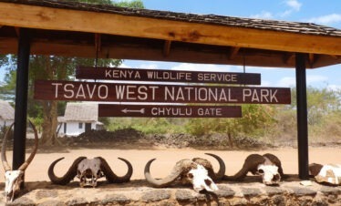 3-Day Kenya Safari Adventure: From Wilderness to the Coast