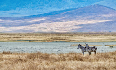 9-Day Kenya Safari Adventure: From the Savanna to the Coast